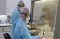الصحة بغزة تسجيل 185 إصابة جديدة بـ كورونا خلال 24 ساعة